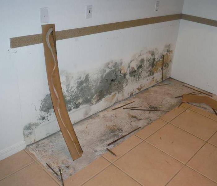 bare kitchen wall with mold