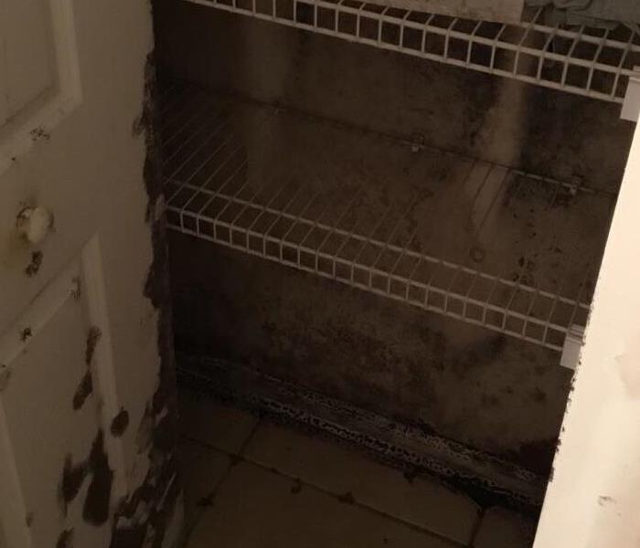 There is significant mold and mildew damage inside closet.