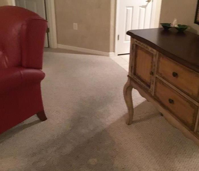 water damage carpet